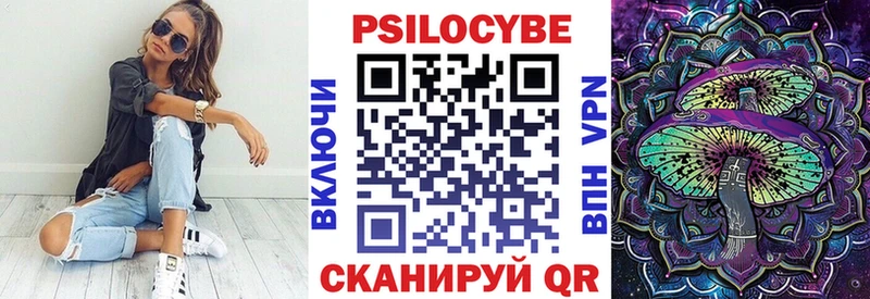где купить   Шумерля  Галлюциногенные грибы мицелий 